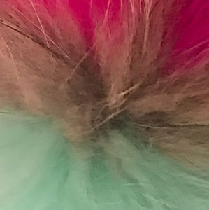 Meet your Posher, Belinda